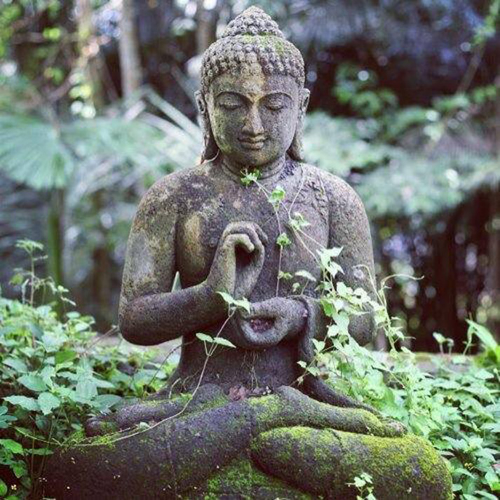 Buddha+moss-copy