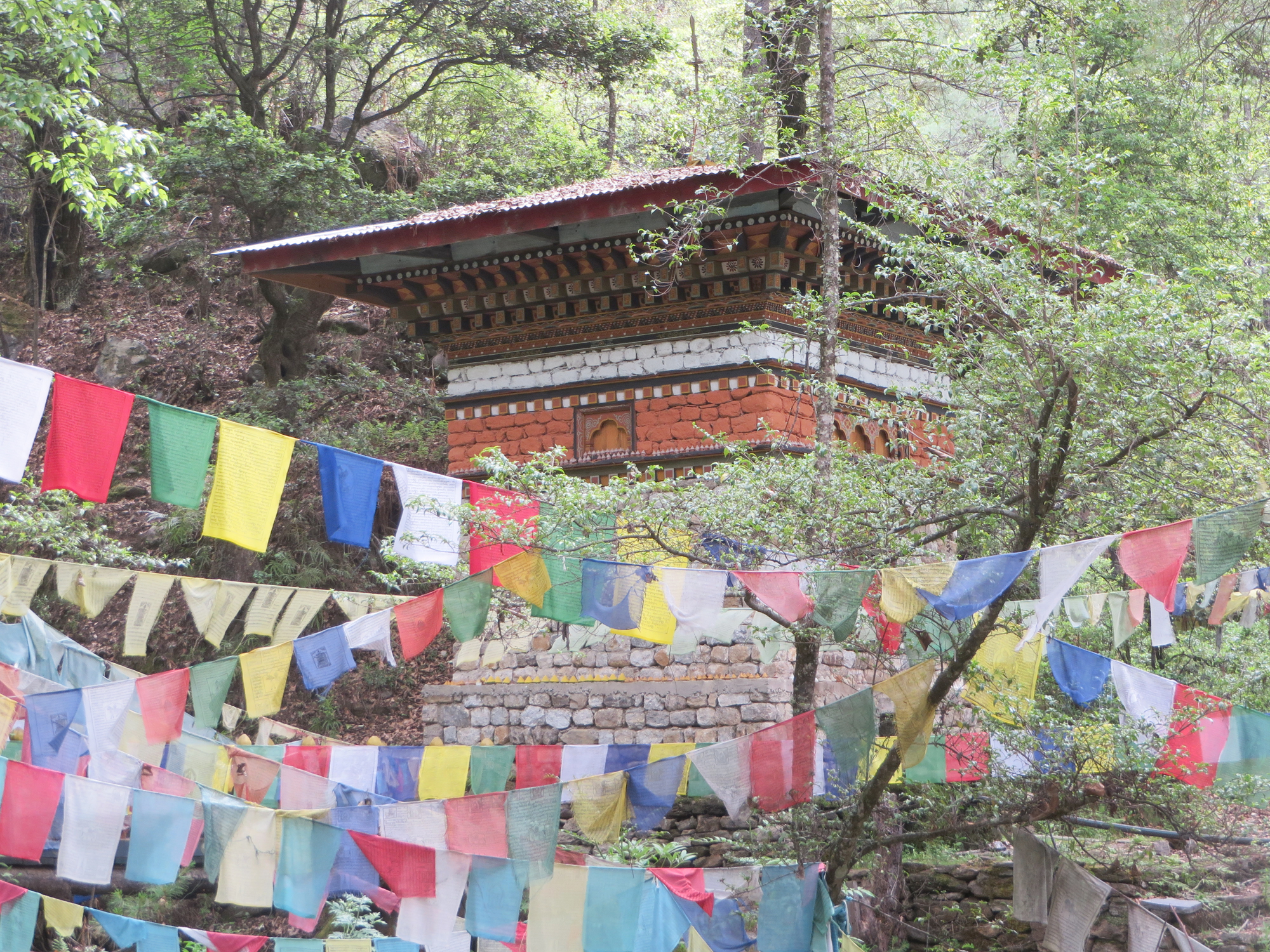 Forest-stupa2